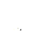 rico55