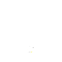 rico55